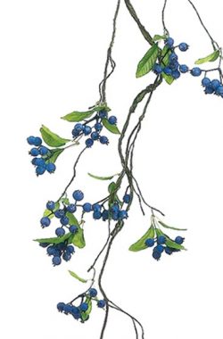 GBERRY VINE
