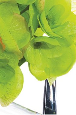 Hortensia En Vidrio 5.5″