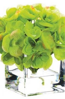 Hortensia En Vidrio 5.5″